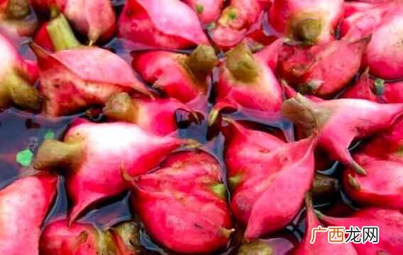 菱角的热量是多少