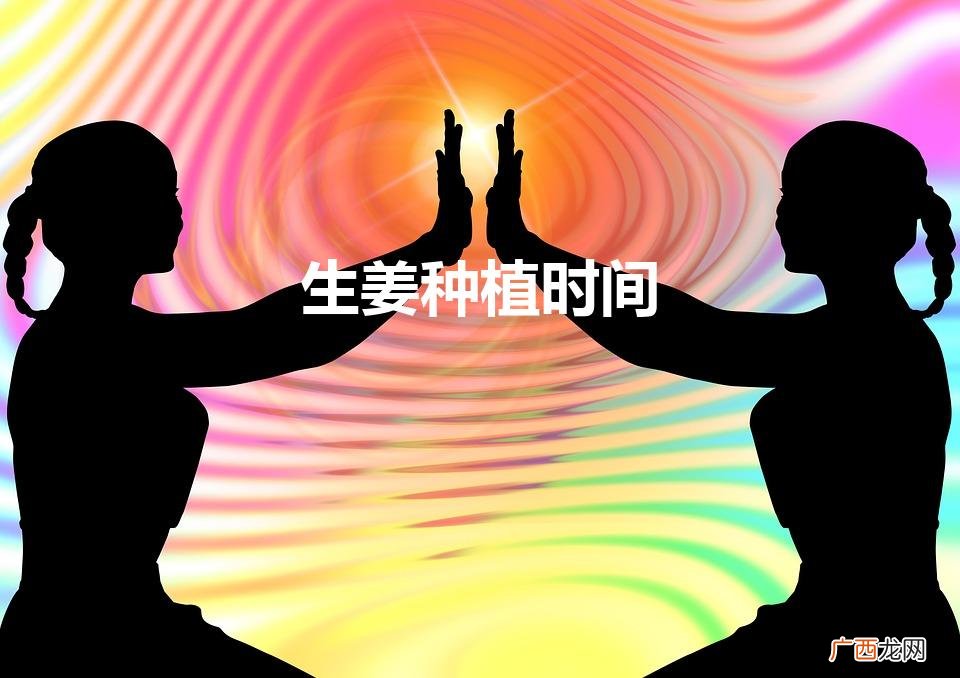 生姜什么时候种植最合适 生姜种植时间