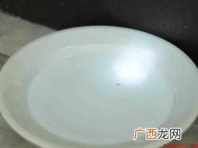 怎么引诱跳蚤出来的具体操作步骤 怎么引诱跳蚤出来