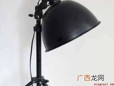 怎么引诱跳蚤出来的具体操作步骤 怎么引诱跳蚤出来