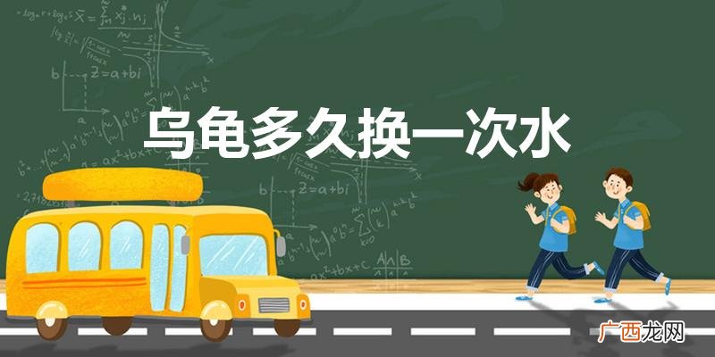 养乌龟的水几天换一次 乌龟多久换一次水