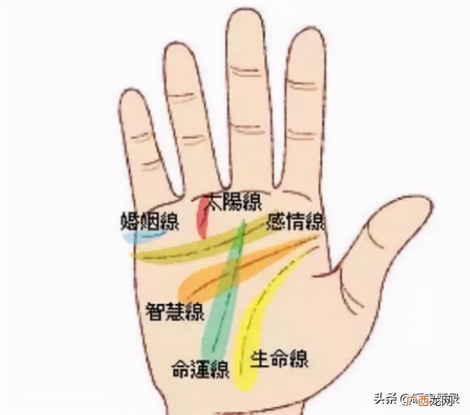 女人断掌好还是不好 女的断掌代表什么意思