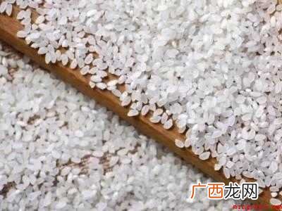 米长飞蛾了怎么处理的具体操作步骤 米长飞蛾了怎么处理
