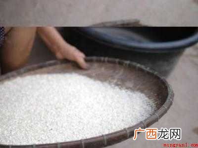 米长飞蛾了怎么处理的具体操作步骤 米长飞蛾了怎么处理