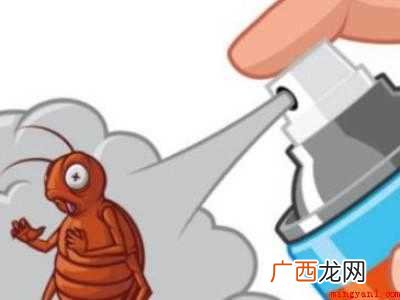 蟑螂怎么驱赶的具体操作步骤 蟑螂怎么驱赶