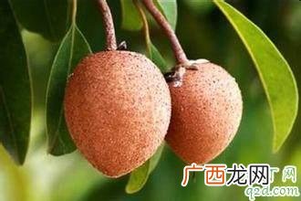 人心果的正确吃法 人心果怎么吃才好