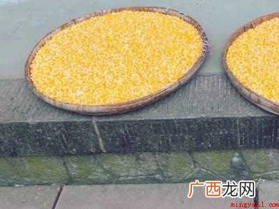 熟玉米怎么保存的具体操作步骤 熟玉米怎么保存
