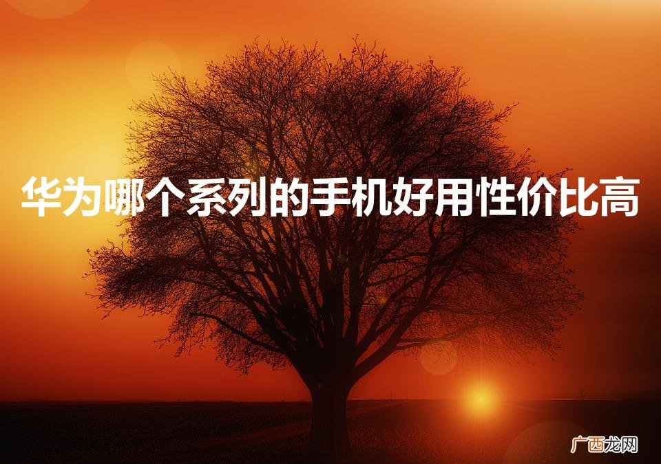 华为哪款手机性价比高 华为哪个系列的手机好用性价比高