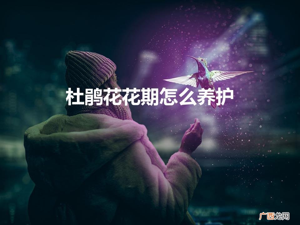 杜鹃花花期怎么养护（杜鹃花花期的养殖方法)