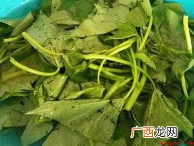 瓜尖怎么炒好吃的具体操作步骤 瓜尖怎么炒好吃