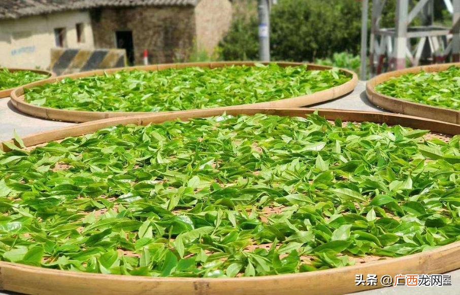 鸭屎香这个名字是怎么来的 鸭屎香是什么香型和味道