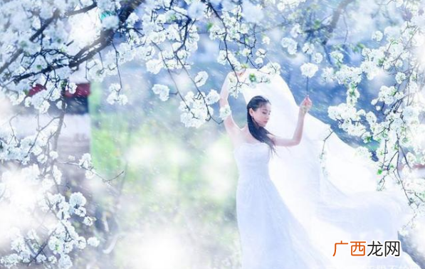 10首有关唯美梨花诗词赏析 描写梨花古诗十首