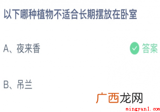 哪种植物不适合长期摆放在卧室 以下哪种植物不适合长期摆放在卧室