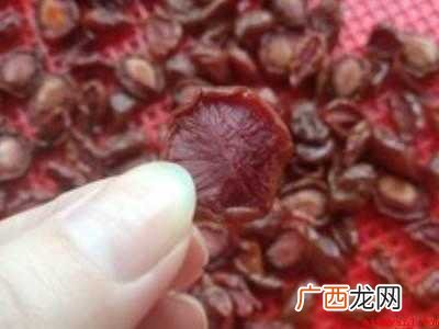 晒李子干的做法的具体操作步骤 晒李子干的做法