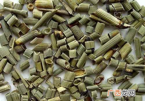 木贼的功效与作用 木贼的营养价值