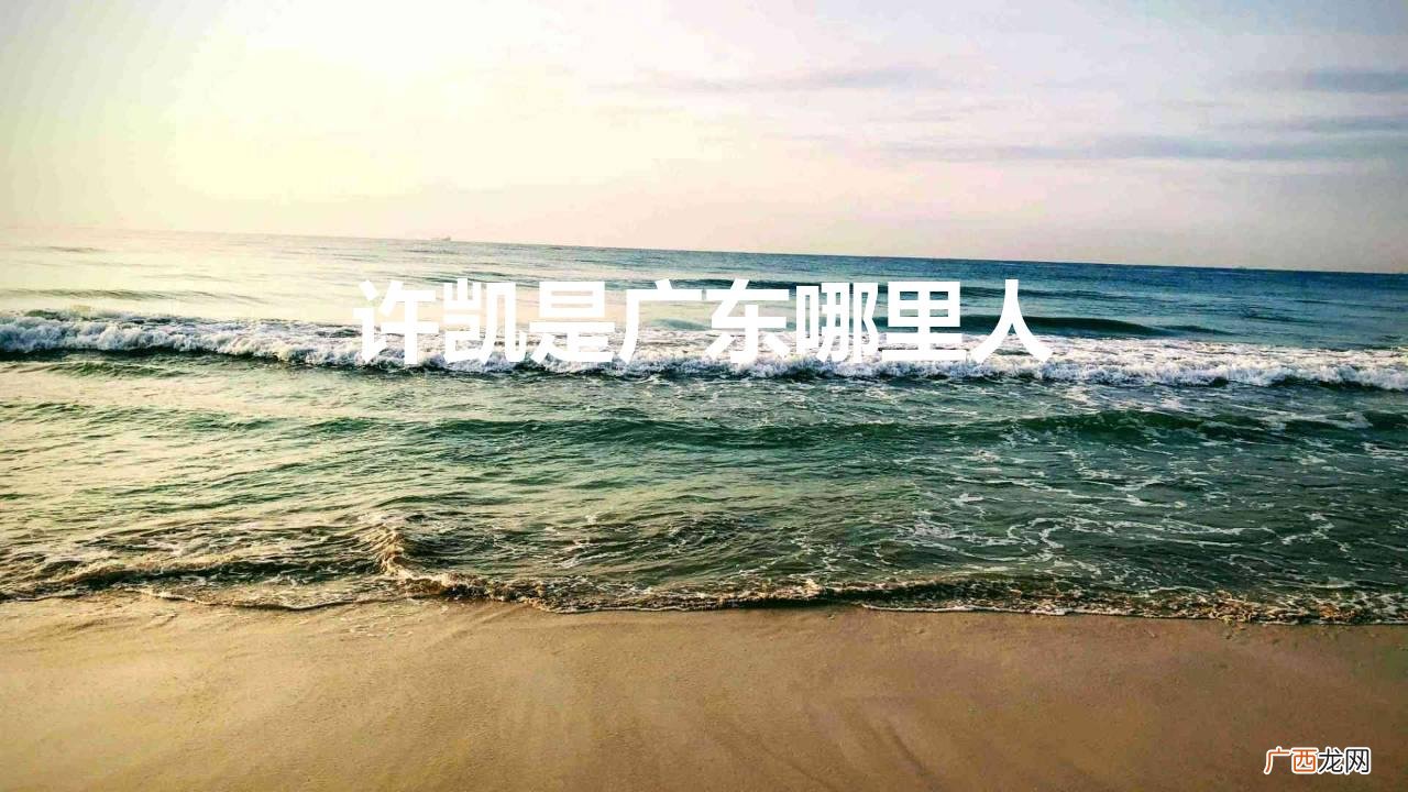 演员许凯的个人资料及作品简介 许凯是广东哪里人