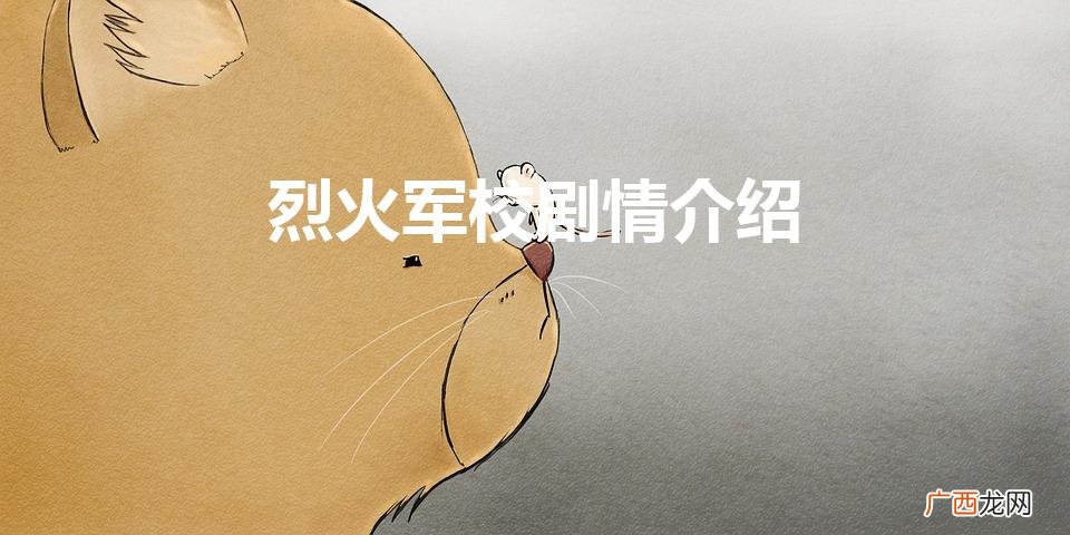 电视剧烈火军校剧情介绍 烈火军校剧情介绍
