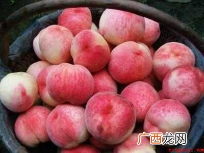 毛桃怎么保存时间长的具体操作步骤 毛桃怎么保存时间长