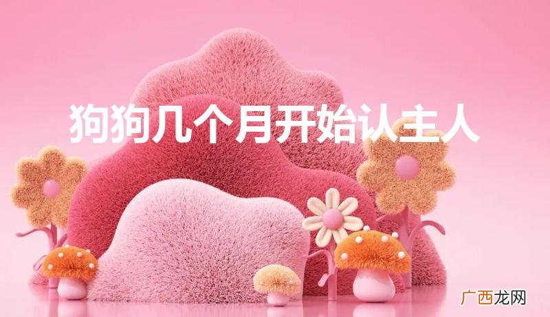 聊一聊狗狗几个月开始认主人 狗狗几个月开始认主人