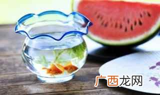 三湖科鱼混养的注意事项 杂鲷能和什么鱼混养