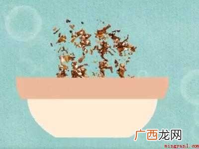 菜地里蚂蚁太多怎么去除的具体操作步骤 菜地里蚂蚁太多怎么去除