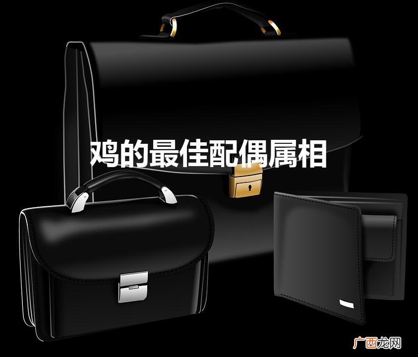 鸡的三合和六个合生肖是什么 鸡的最佳配偶属相