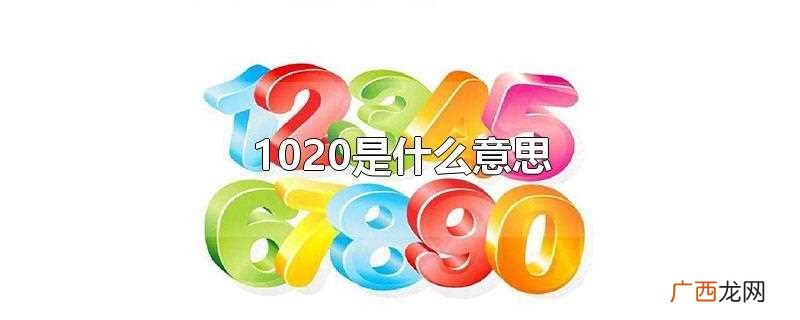 1020的意思是一定爱你。 1020是什么意思