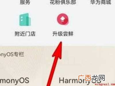 nova8pro怎么升级鸿蒙系统的具体操作步骤 nova8pro怎么升级鸿蒙系统
