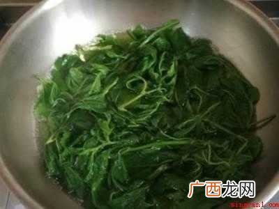 桑叶芽的做法的具体操作步骤 桑叶芽的做法