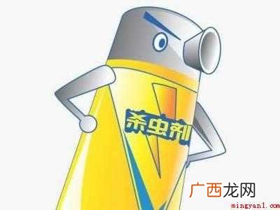 床上总是有小虫子怎么解决的具体操作步骤 床上总是有小虫子怎么解决