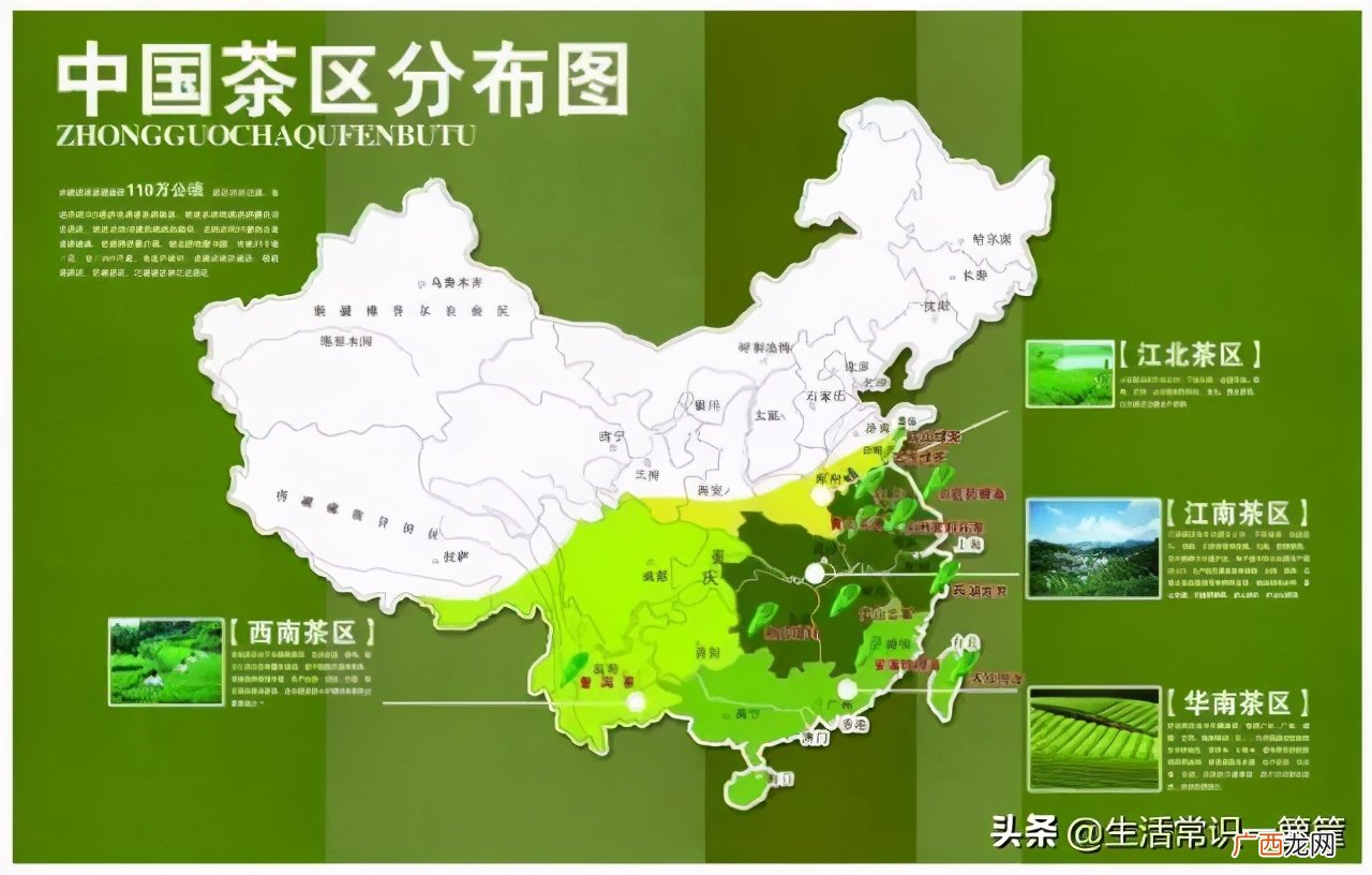 中国十大红茶排行榜及图片 中国十大红茶排行榜
