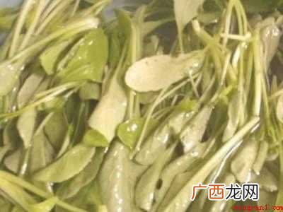 萝卜苗怎么做好吃的具体操作步骤 萝卜苗怎么做好吃
