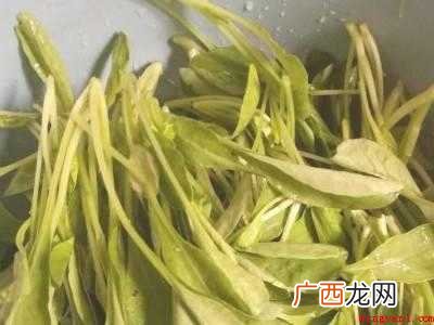 萝卜苗怎么做好吃的具体操作步骤 萝卜苗怎么做好吃