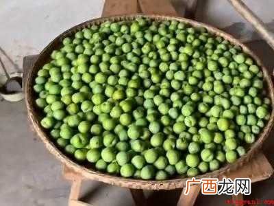 李子怎么寄快递不用坏的具体操作步骤 李子怎么寄快递不用坏