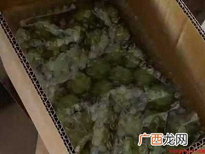 李子怎么寄快递不用坏的具体操作步骤 李子怎么寄快递不用坏