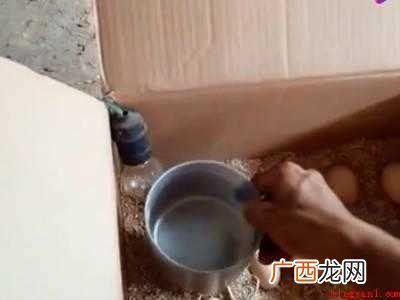 在家里怎么人工孵蛋的具体操作步骤 在家里怎么人工孵蛋