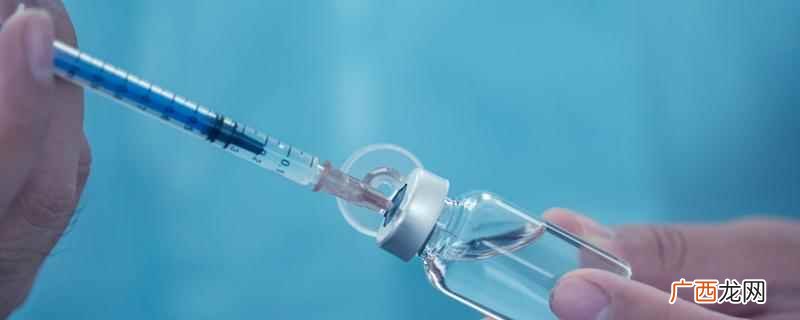 狗舔了自己伤口怎么办 狗舔了伤口怎么办
