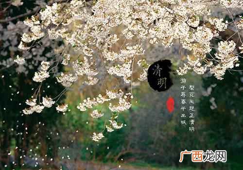 春天有几个节气吗 春天有几个节气
