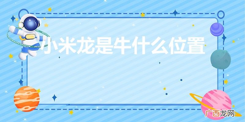 是牛的哪个部位 小米龙是牛什么位置