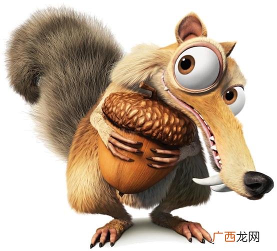 松鼠喜欢吃什么食物都有哪些 松鼠喜欢吃什么食物