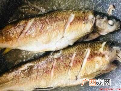 黄尾鱼怎么做好吃的具体操作步骤 黄尾鱼怎么做好吃