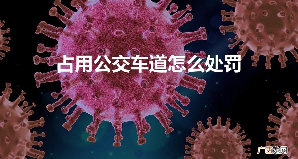 走公交车道怎么处罚 占用公交车道怎么处罚