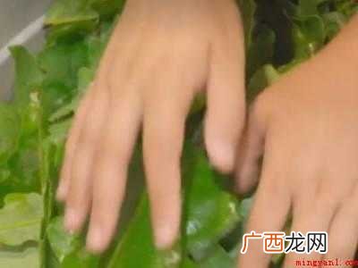 怎样包粽子简单的方法的具体操作步骤 怎样包粽子简单的方法