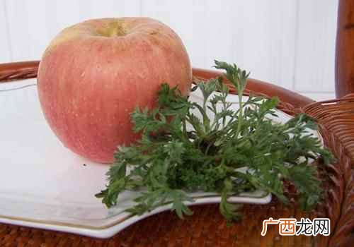 茵陈是什么植物 茵陈是艾草吗