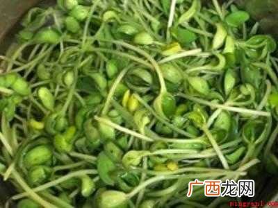 黑豆芽怎么做好吃的具体操作步骤 黑豆芽怎么做好吃