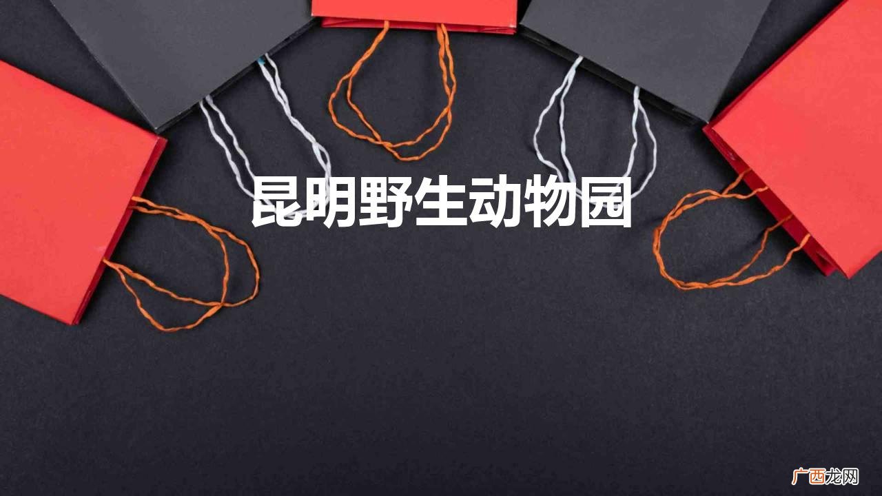 昆明野生动物园（昆明野生动物园游玩攻略)