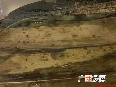 肉粽子怎么包才好吃的具体操作步骤 肉粽子怎么包才好吃