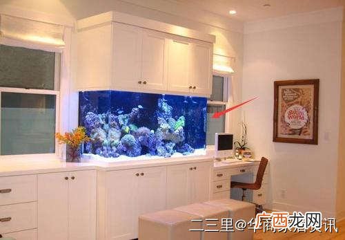不同房屋朝向鱼缸摆放方位 家里鱼缸摆放位置风水吉位