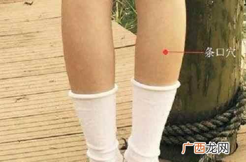 条口穴的功效与作用机制 条口的准确位置图,条口的准确位置图和作用