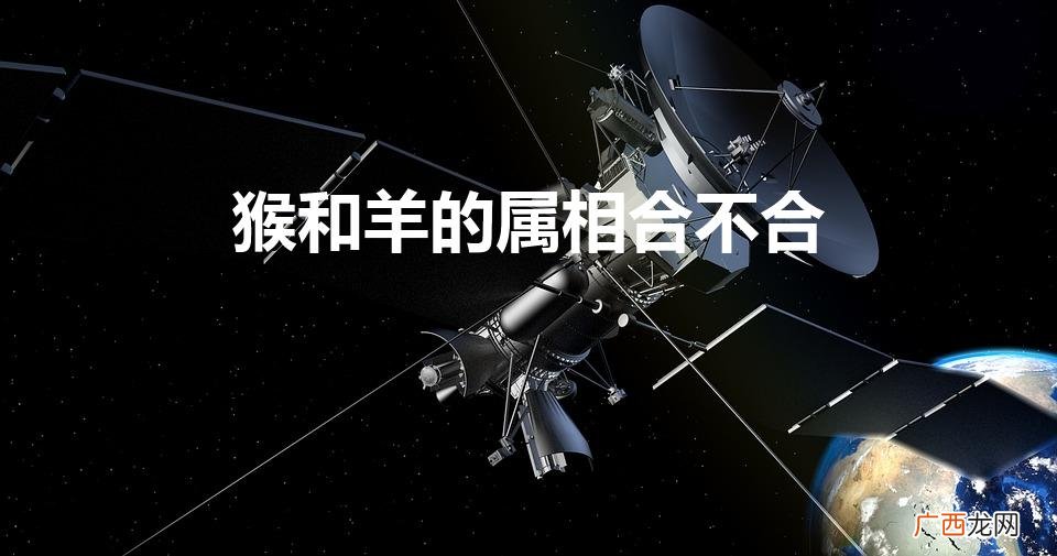 猴和羊的属相合不合婚姻 猴和羊的属相合不合